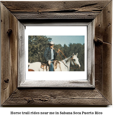 horse trail rides near me in Sabana Seca, Puerto Rico